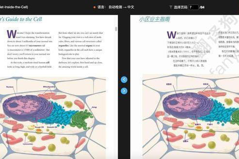 研究生私藏的论文翻译神器，不费吹灰之力读外文文献