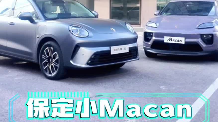 终于来了 保定小Macan