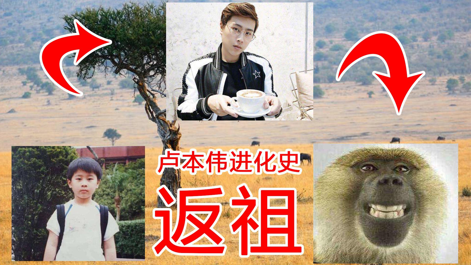 卢本伟进化史,人称返祖现象