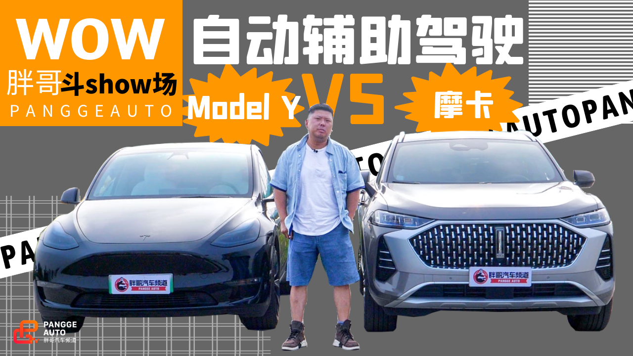 《胖哥试车》对Model Y的自动辅助驾驶功能 WEY摩卡表示不服！