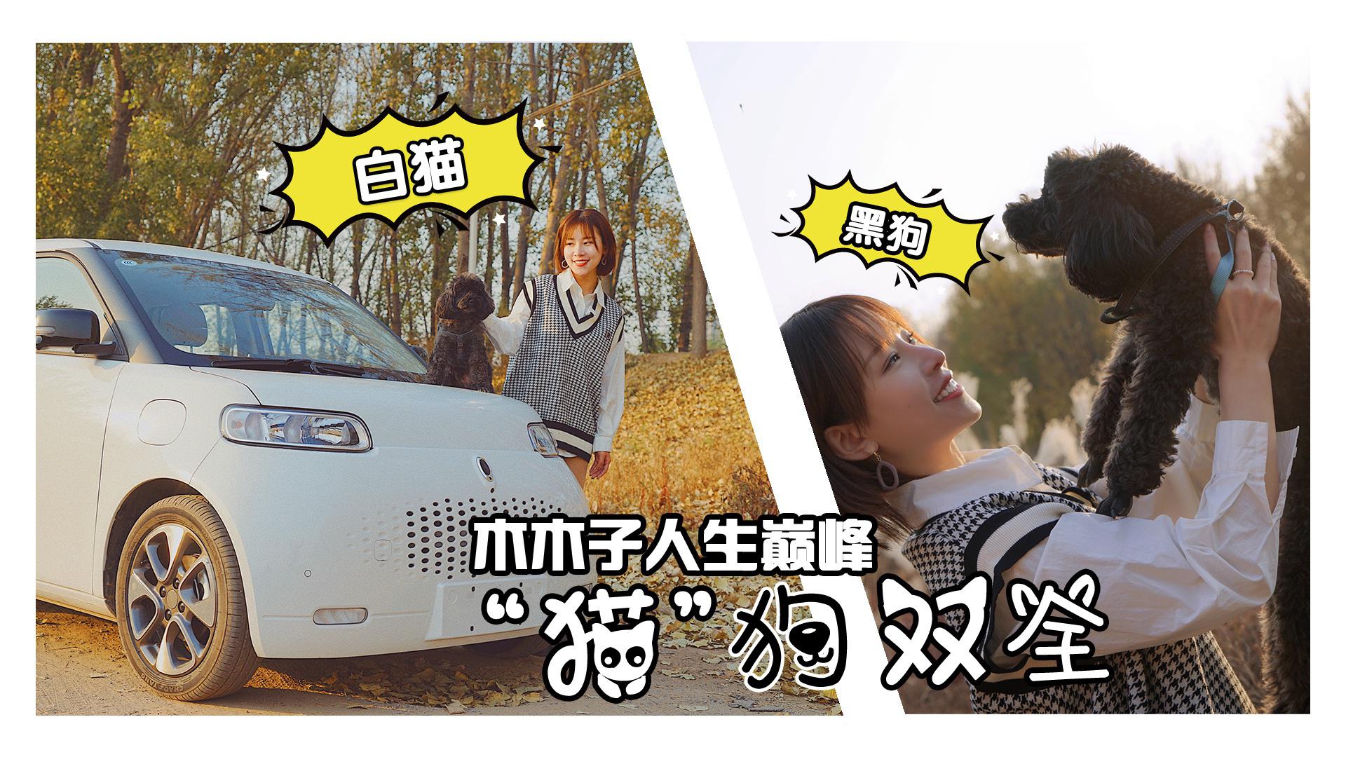 冒险一测！欧拉白猫远途旅行究竟如何