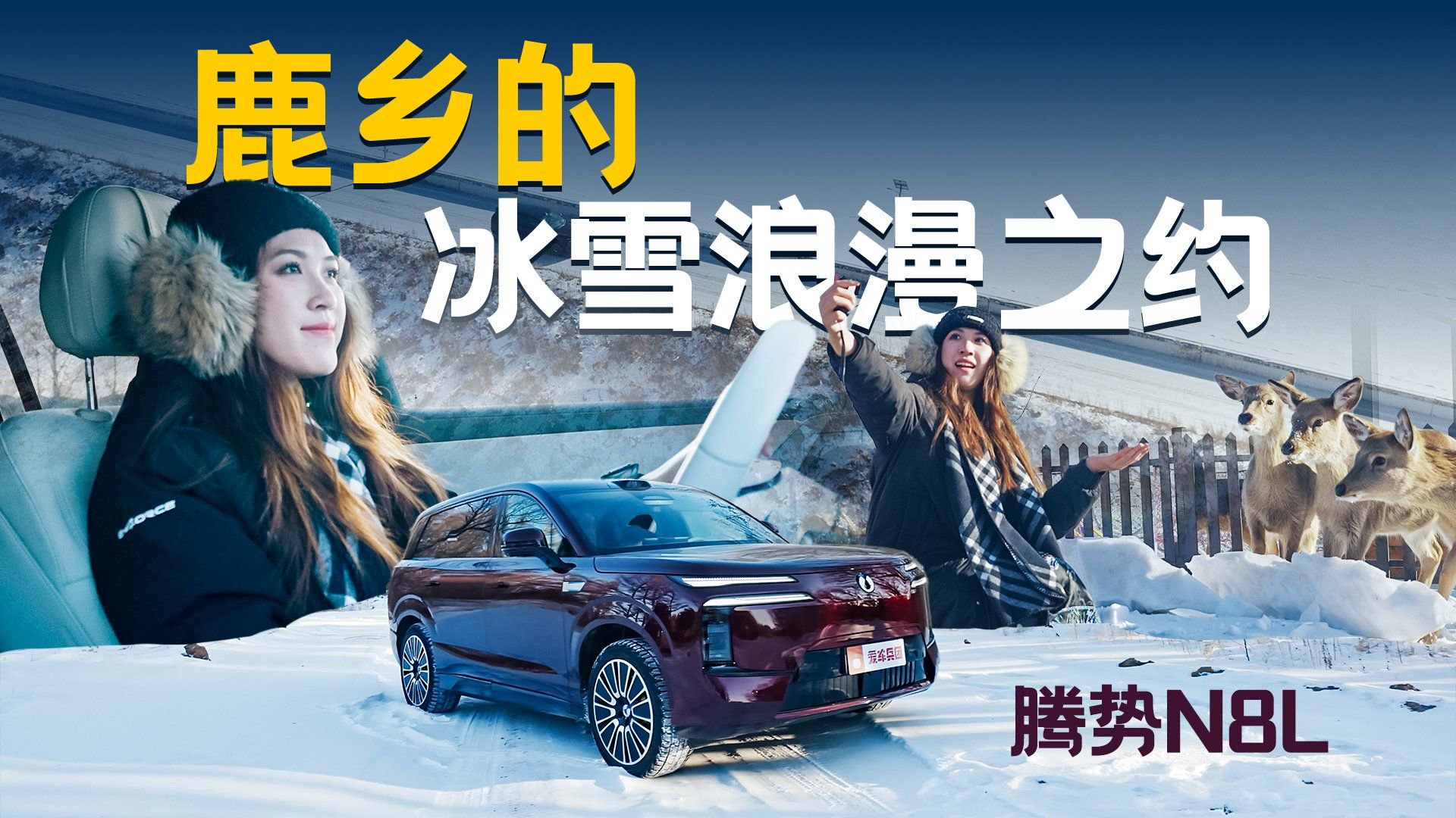零下20℃寻茸记！和腾势N8L解锁400年鹿乡的冰雪浪漫