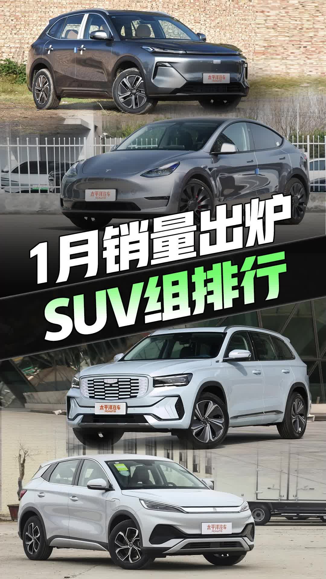 排名大洗牌！SUV 1月销量TOP10，Modely丢冠！