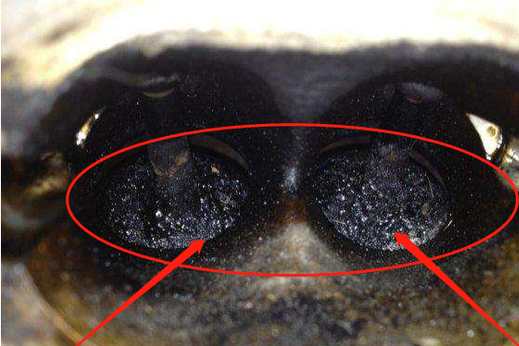 老司机提醒：车上这个“孔”要定期清理，动力十足提速快
