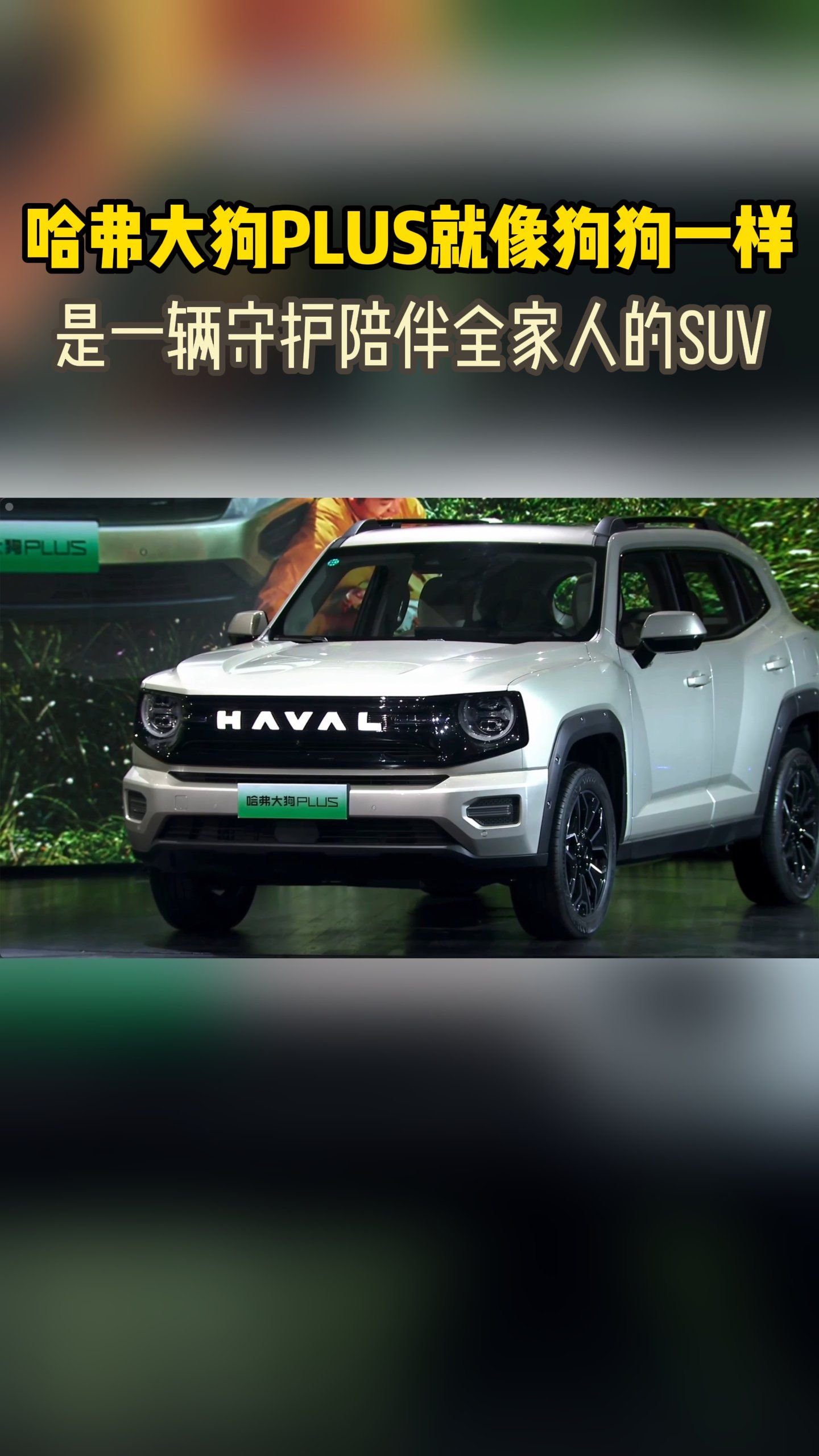 真诚可靠懂你守护哈弗大狗PLUS为家而来