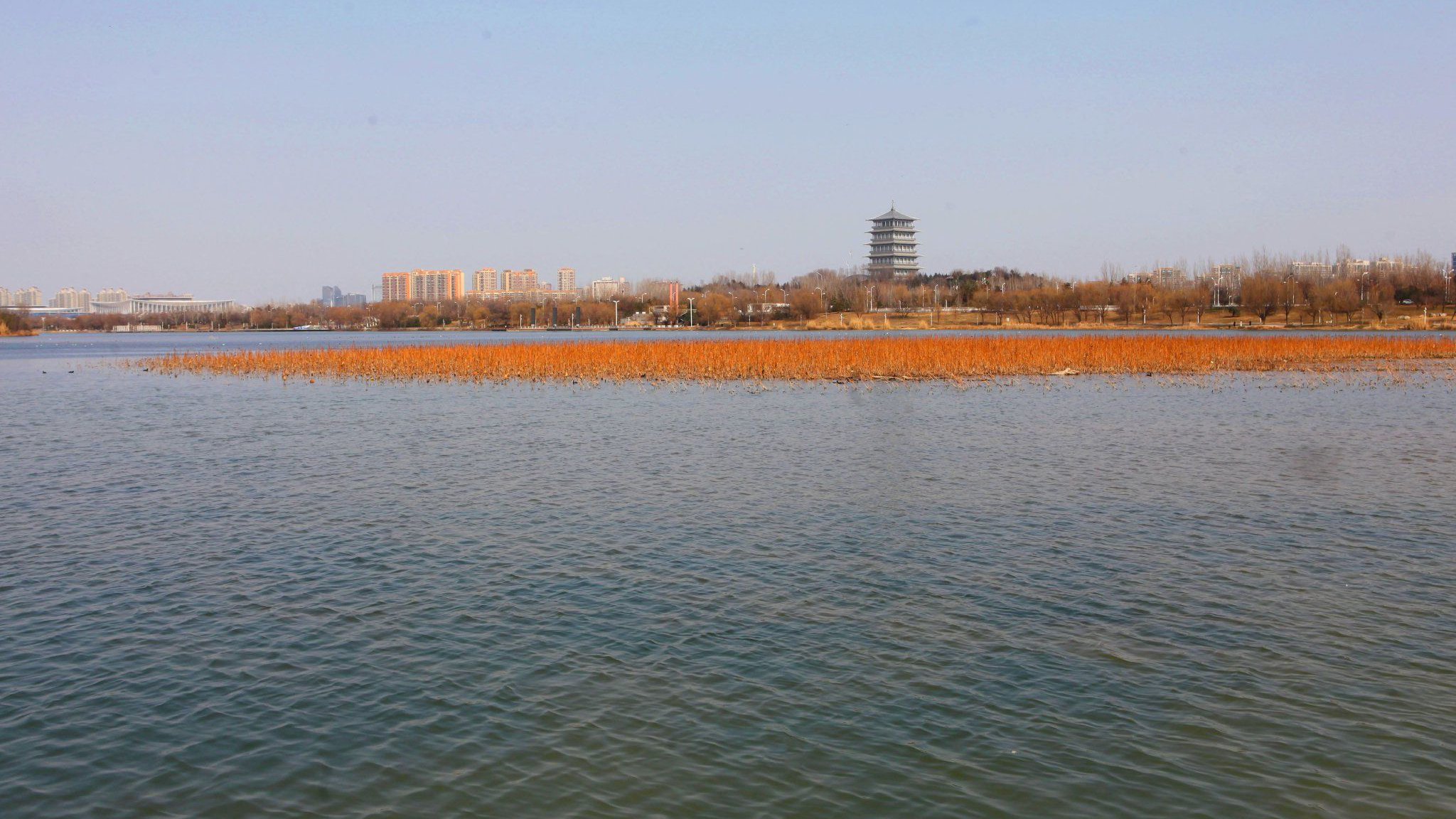 西安灞河冬景：灞河碧波映长安塔，一帧一画皆是诗与远方