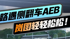 一个字！稳！路遇侧翻车AEB测试