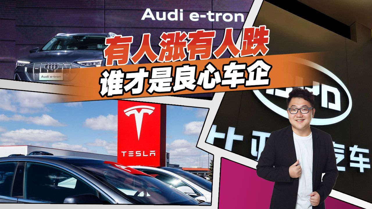 到底谁才是良心车企？为什么自主新能源涨价？BBA和特斯拉狂降价