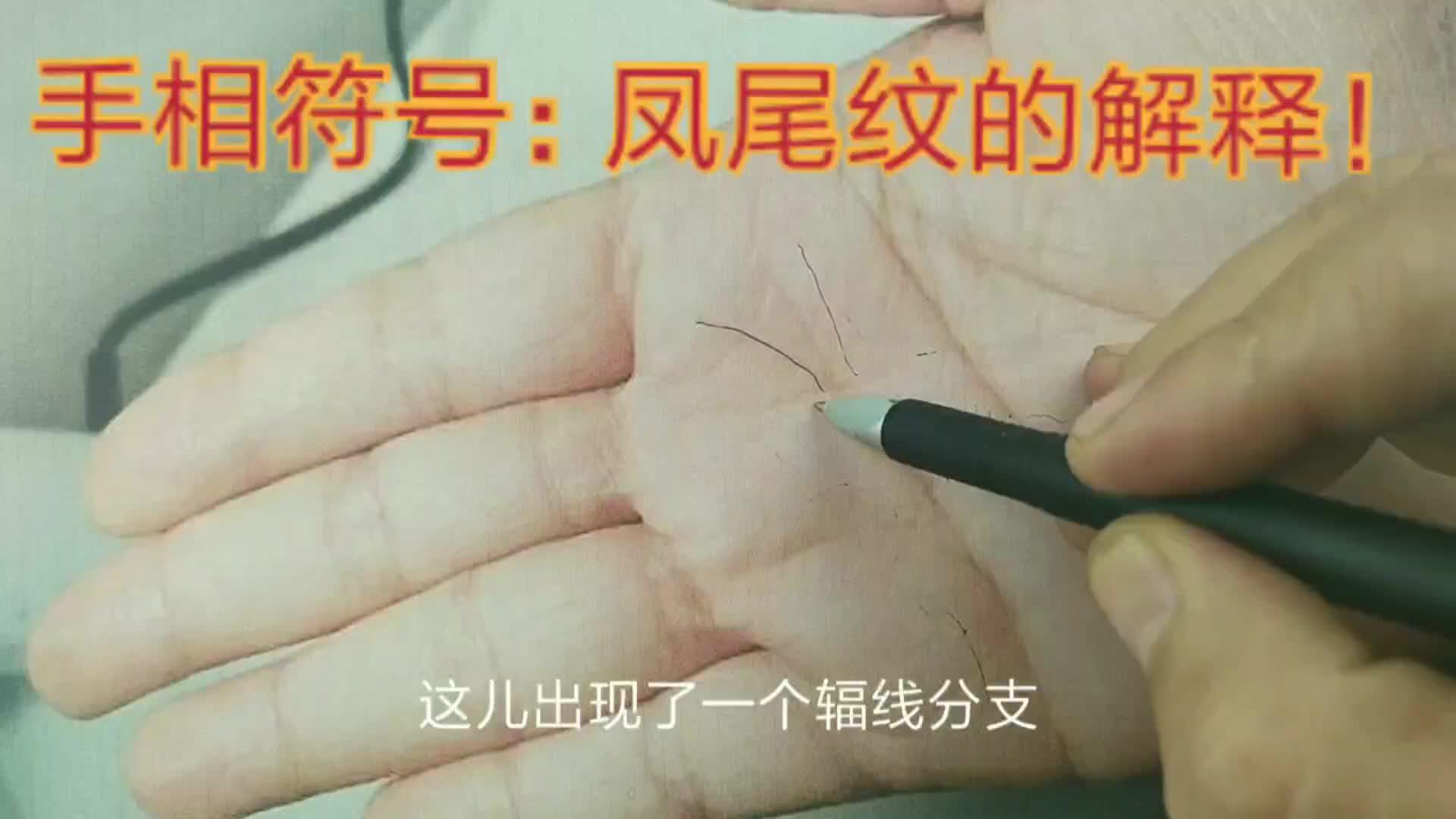 手相:凤尾纹的解释(84)