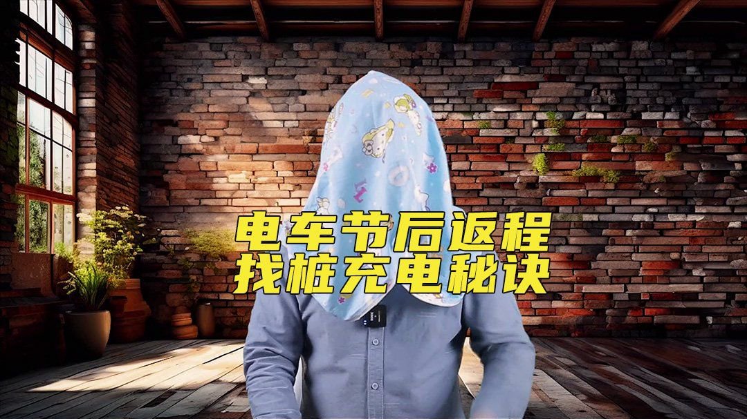 纯电车型避免趴窝 节后返程小技巧你得知道