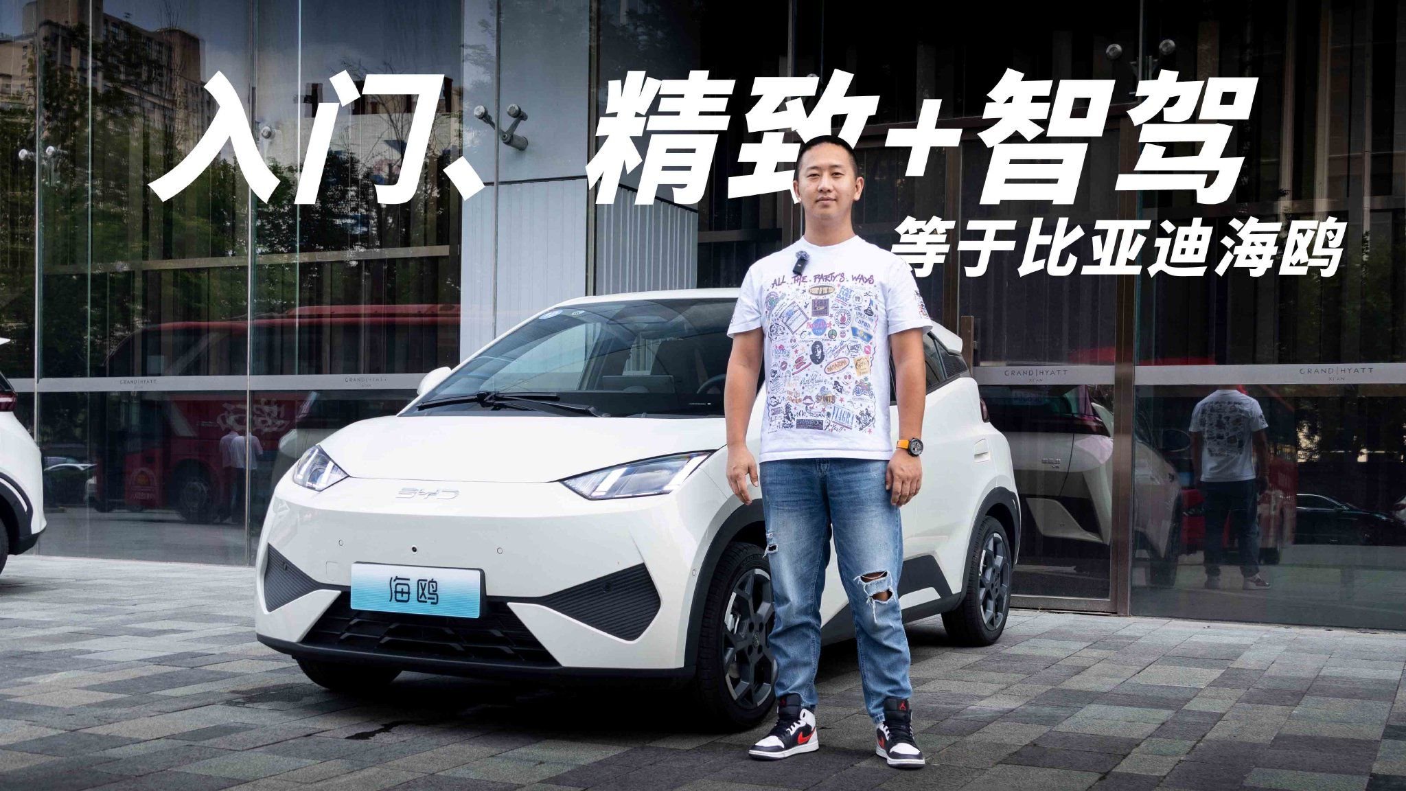 入门、精致+智驾=比亚迪海鸥