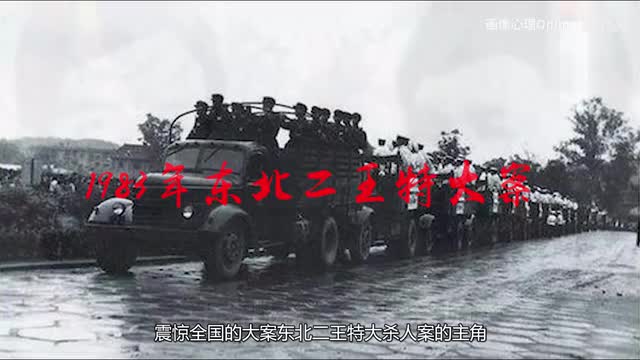 1983年东北二王特大杀人案影像资料