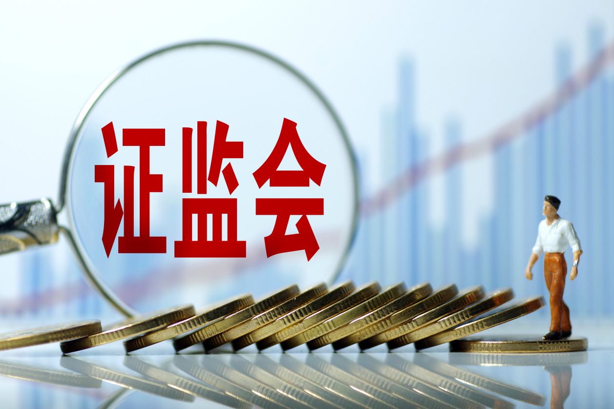 十大配资线上平台差异化分析：2026年实盘交易渠道与服务结构比较