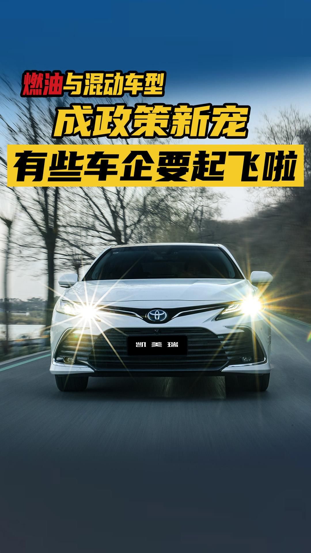 燃油与混动车型成政策新宠，有些车企要起飞啦