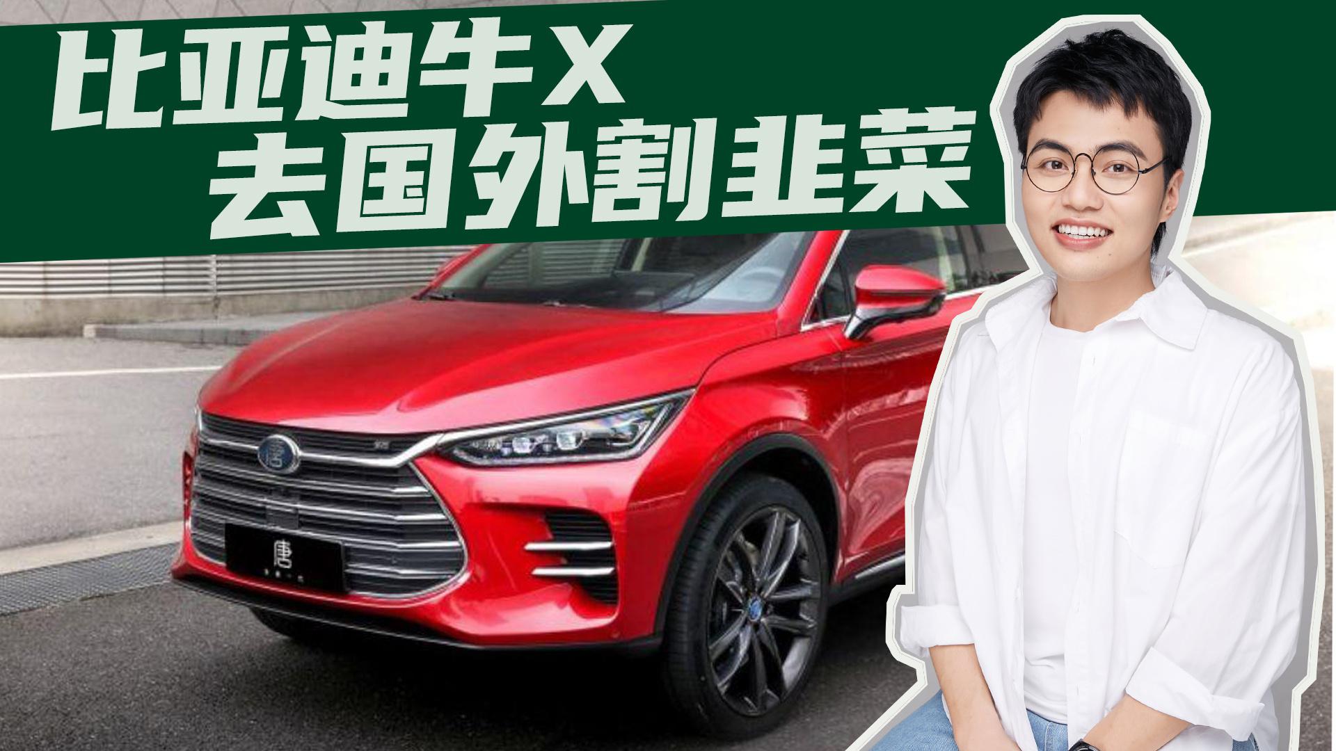 豆车一分钟：比亚迪要去国外“割韭菜”了，至少加价15万，爽！