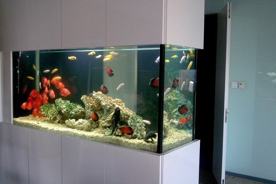 福州口碑好的海选会所推荐及相关解读