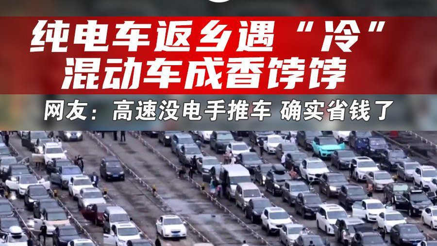 纯电车返乡遇“冷” 混动车成香饽饽