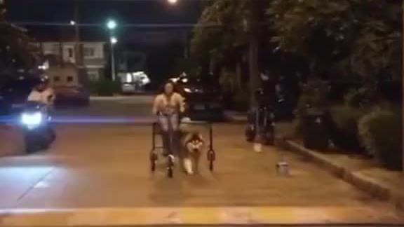 小姐姐你这车卖吗？我用2包狗粮买你这辆车可以吗？