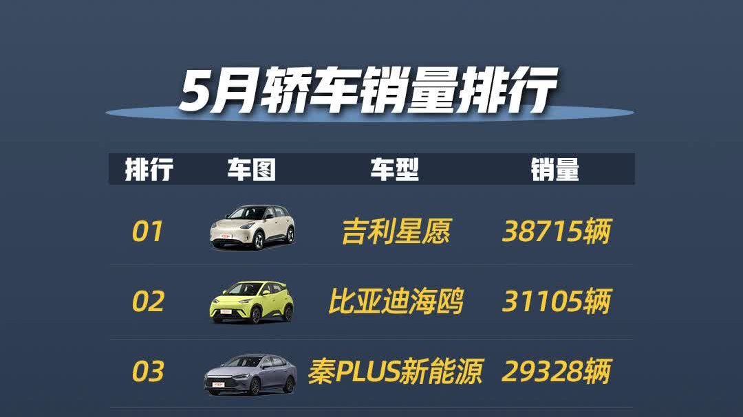 视频：5月轿车销量 比亚迪秦PLUS新能源进前三