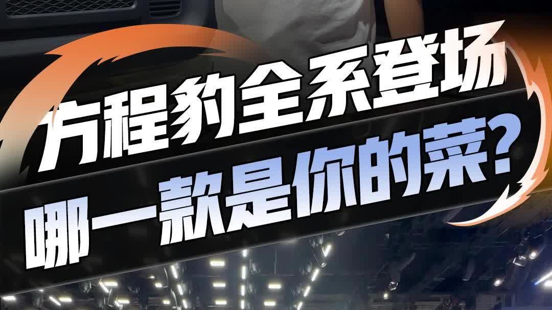 豹钛双子星，如何从小众走向潮流？