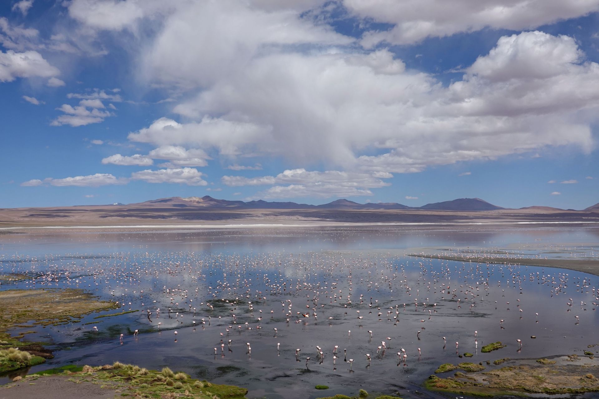 “天空之镜”落地签！关于玻利维亚这有你想知道的一切_凤凰旅游
