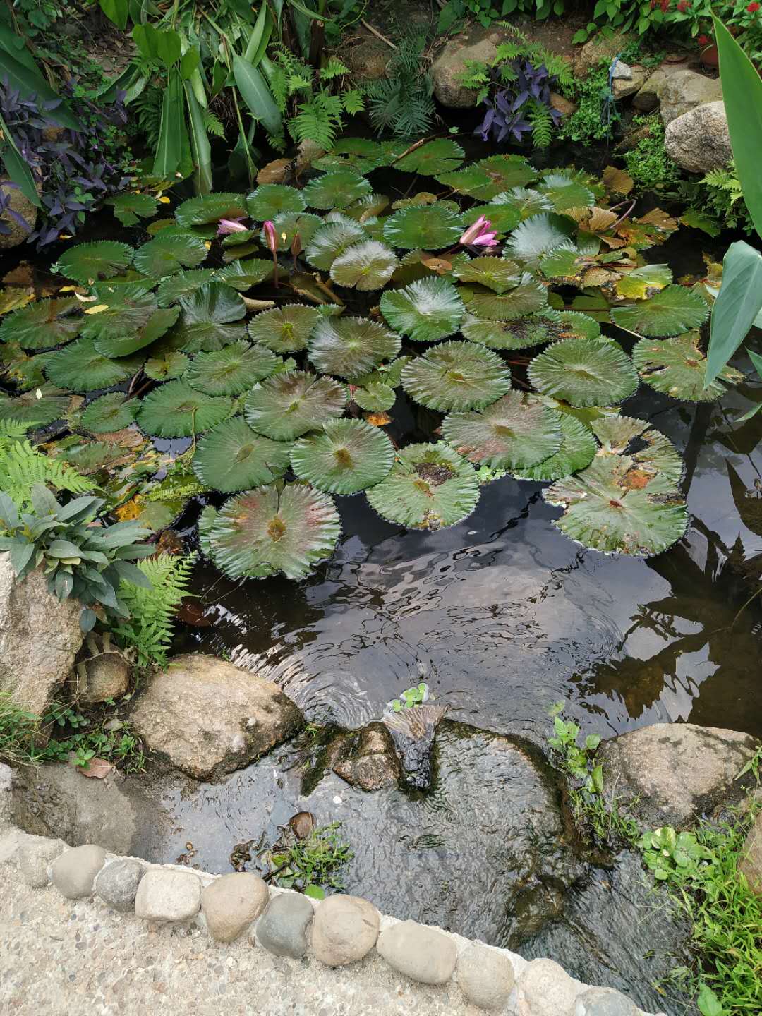 深圳早报 | 7月3日 周五|深圳今日热点关注消息事件