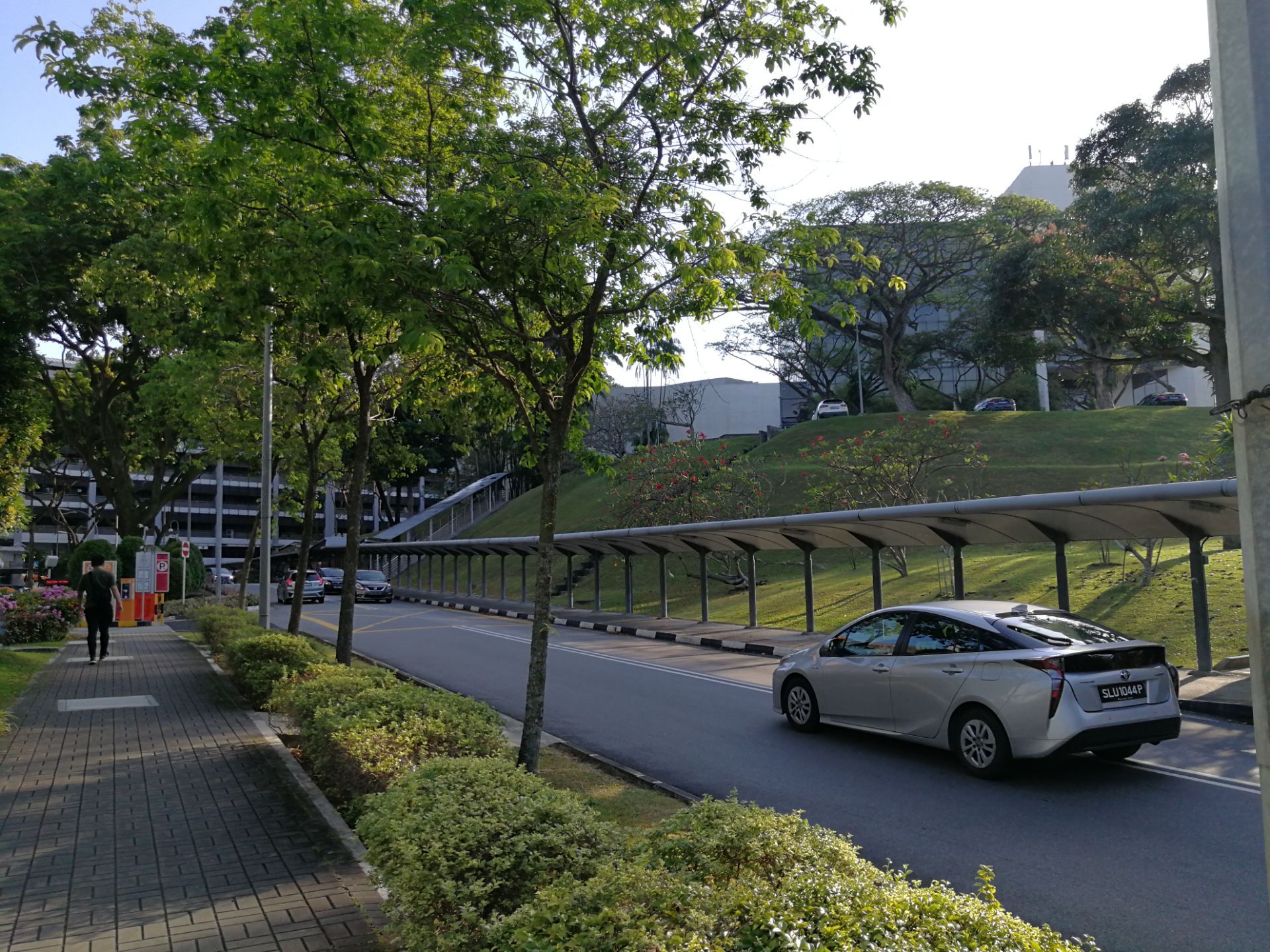 2020新加坡国立大学_新加坡国立大学2020/21年度本科在读人数出