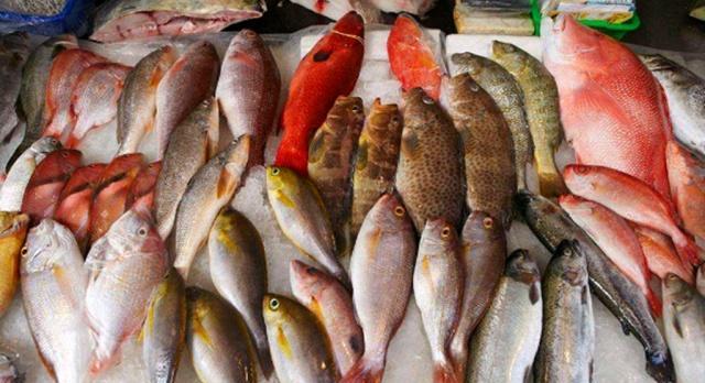 这6种海鱼既便宜又好吃,海鲜摊主:看来是吃鱼的行家!