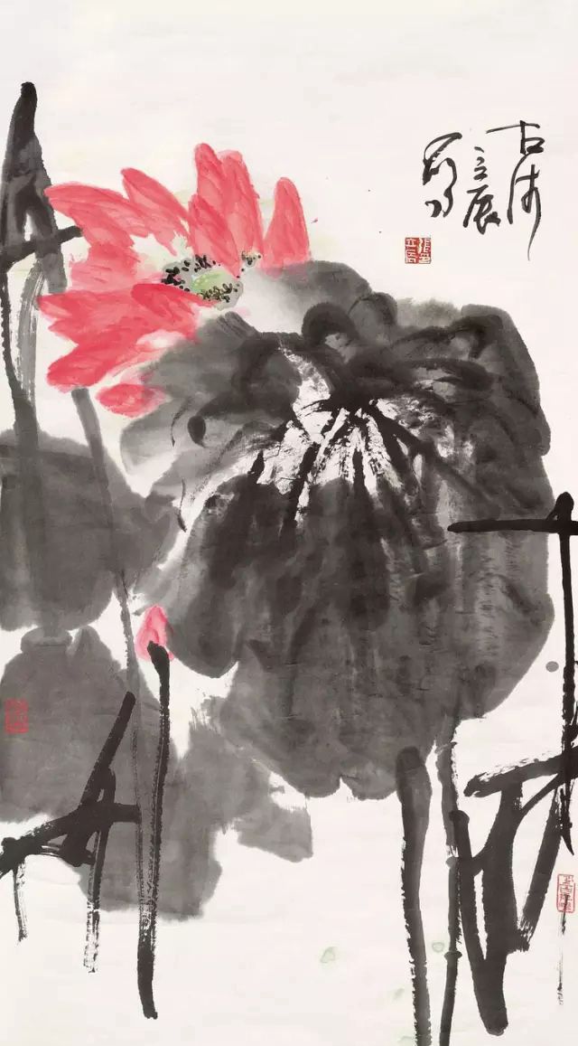 张立辰专攻大写意花鸟画.