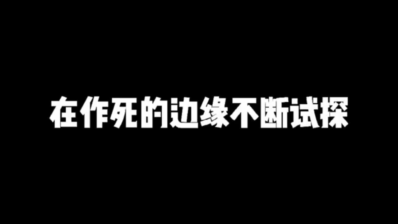 铲屎官在作死的边缘疯狂试探,二哈敢怒不敢言,对他的意见很大!