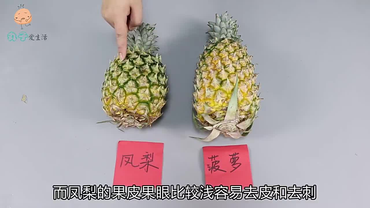 原来菠萝和凤梨区别那么大难怪价格相差三四倍别再买错被坑了