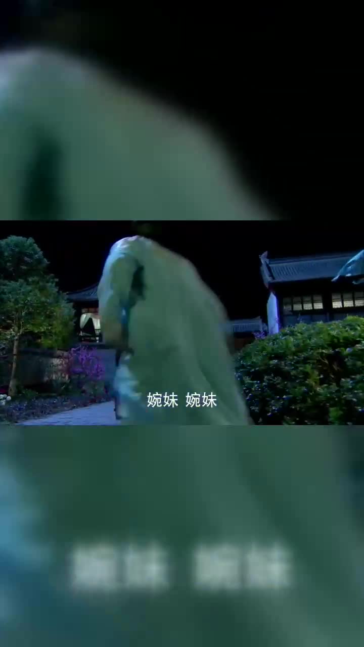 木婉清随母离开段誉一声声婉妹叫着是真舍不得