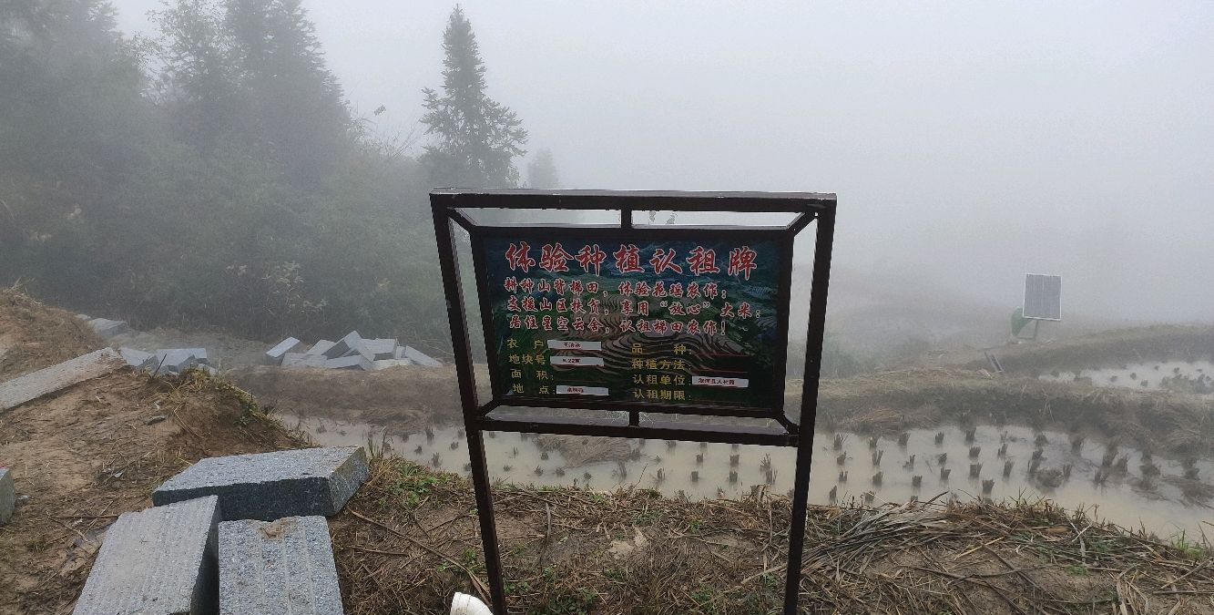 湖南怀化山背花瑶景区大雾弥漫，只适合在民宿里发呆