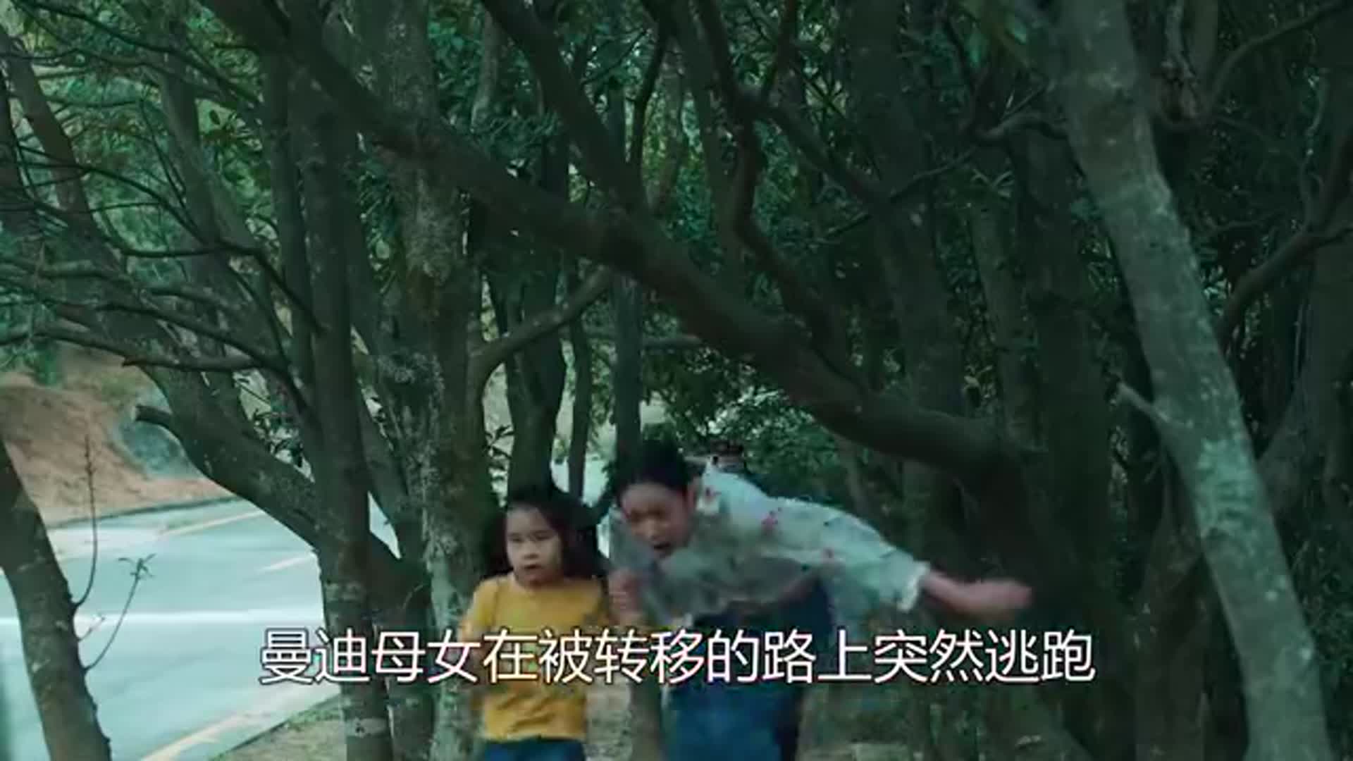 家族荣耀甄芯真面目暴露害死曼迪母女事发