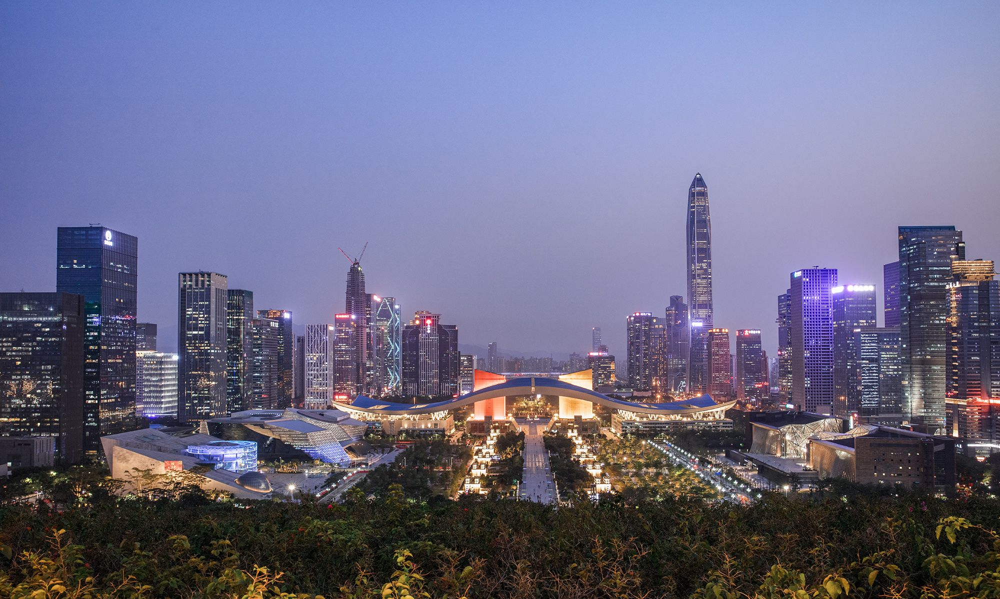 深圳专属的最华丽夜景:莲花山公园!