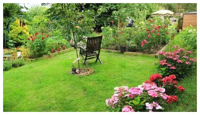 如何让庭院变成小花园小菜园,注意简单几点,经常有花赏有菜吃