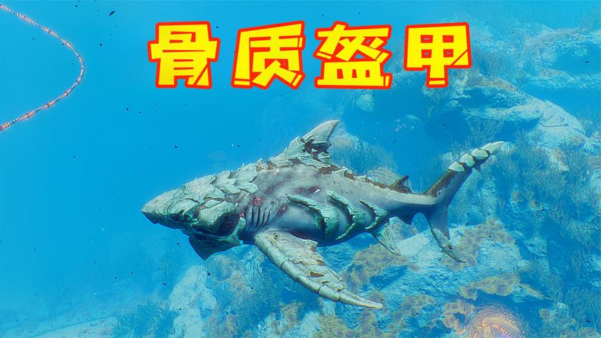 食人鲨我换上一身骨质盔甲套装防御力爆表再也不怕巡逻船了