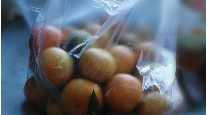 考上清华大学,二叔给2万,三叔给一袋橘子,10年后给三叔一套房休闲区蓝鸢梦想 - Www.slyday.coM 考上清华大学,二叔给2万,三叔给一袋橘子,10年后给三叔一套房休闲区蓝鸢梦想 - Www.slyday.coM