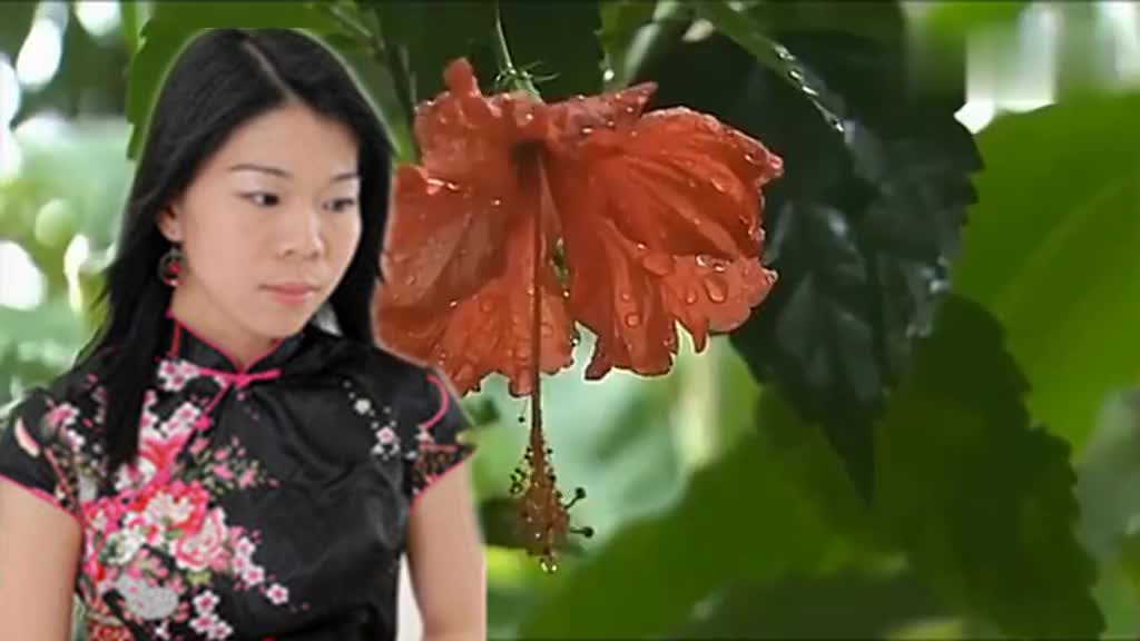 李羿慧《真爱一世情》,歌词唱尽心酸无奈