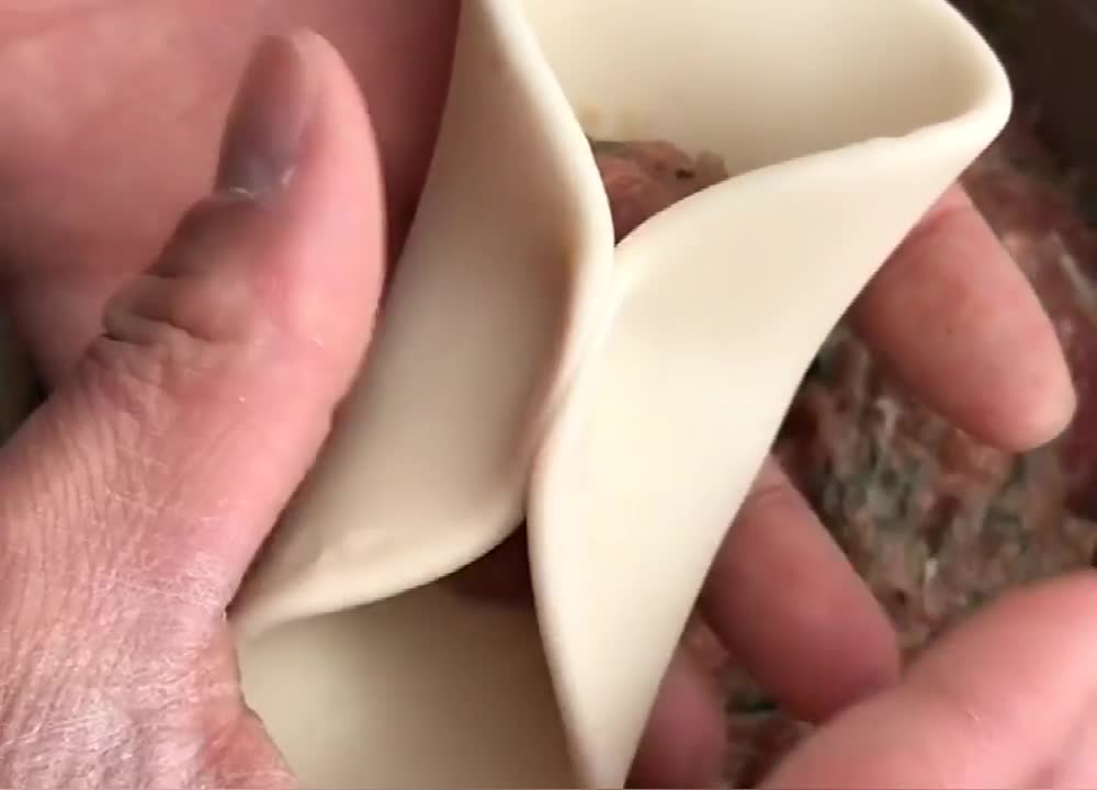 最简单的包饺子的方法,慢动作教你学会,新手也能一次