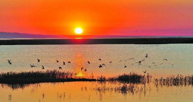 我国曾资源最丰富的湖泊如今干涸到寸草不生令人惋惜