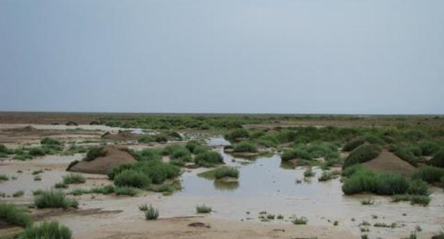 我国曾资源最丰富的湖泊如今干涸到寸草不生令人惋惜