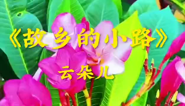 《故乡的小路》云朵儿演唱