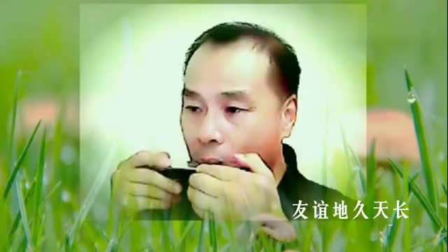 2726口琴独奏版《友谊地久天长》,中段变奏有难度,吉祥如意演奏