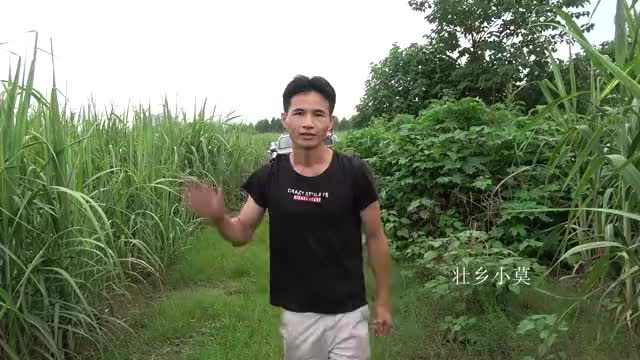 小莫带美女潜水,洞穴里徒手抓到一条河鱼,乐得哈哈大笑