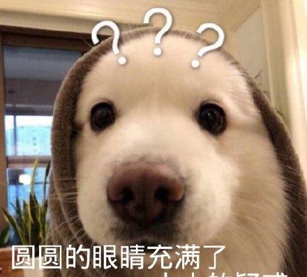 表情包我一只狗的时候孤独啊67好想出去玩