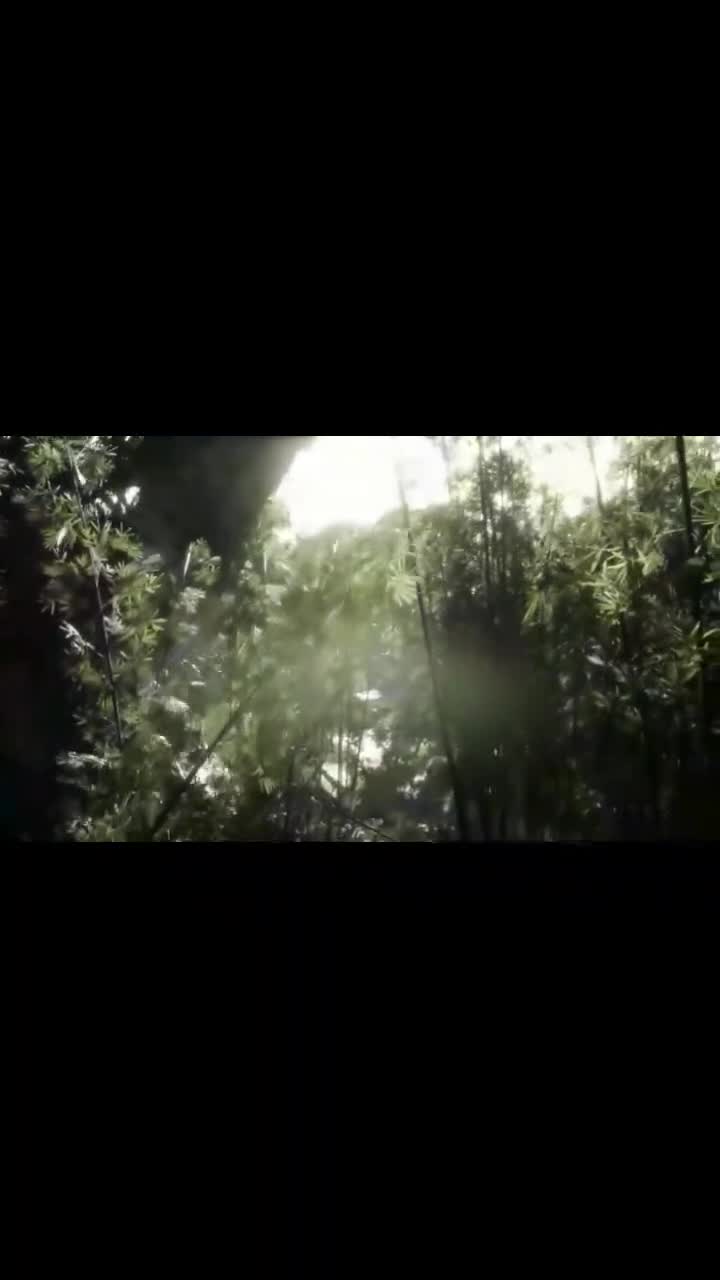 这首动人歌曲淋雨一直走还是觉得好听不能够被错过