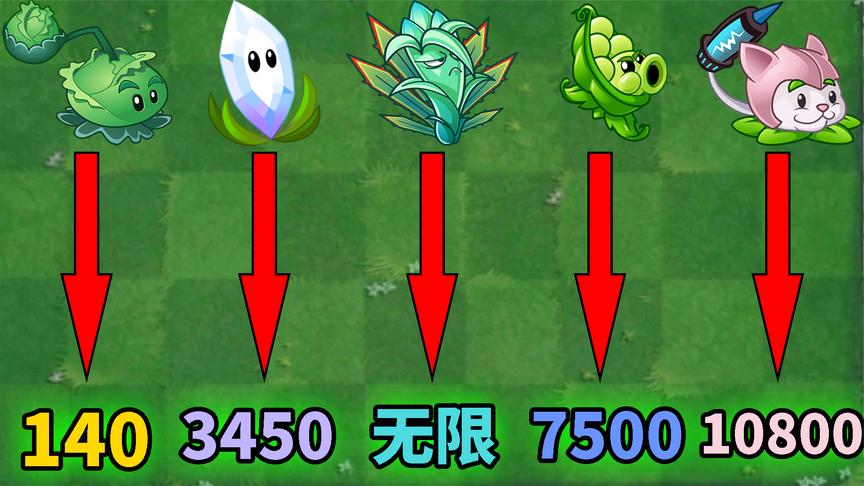 pvz2自创植物香水花,pvz2自创植物 pvz2:盘点五大纯输出植物!