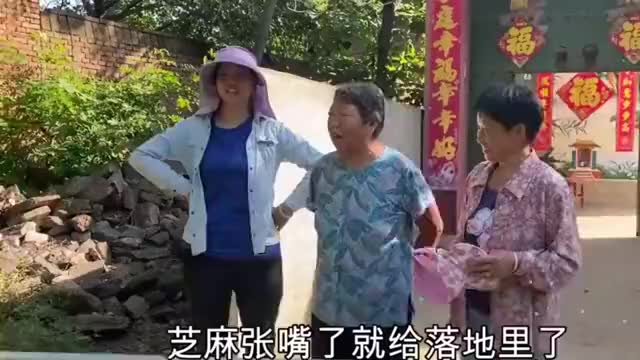 倔媳妇地里薅芝麻全家热的汗流浃背每个人脸上洋溢着丰收喜悦