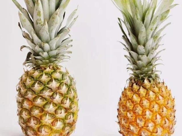 菠萝和凤梨有啥区别?教你一眼辨别,很多人买错了还不自知